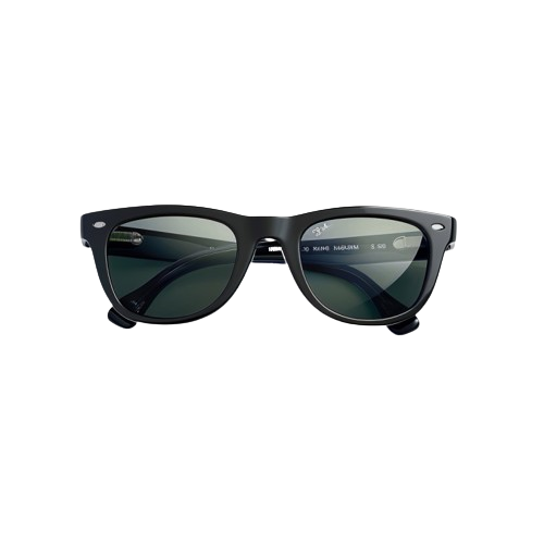 Ray Guard Shades
